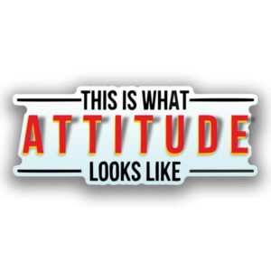Attitude Looks Like Sticker
